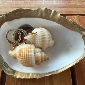 Golden Tide Shell Earrings