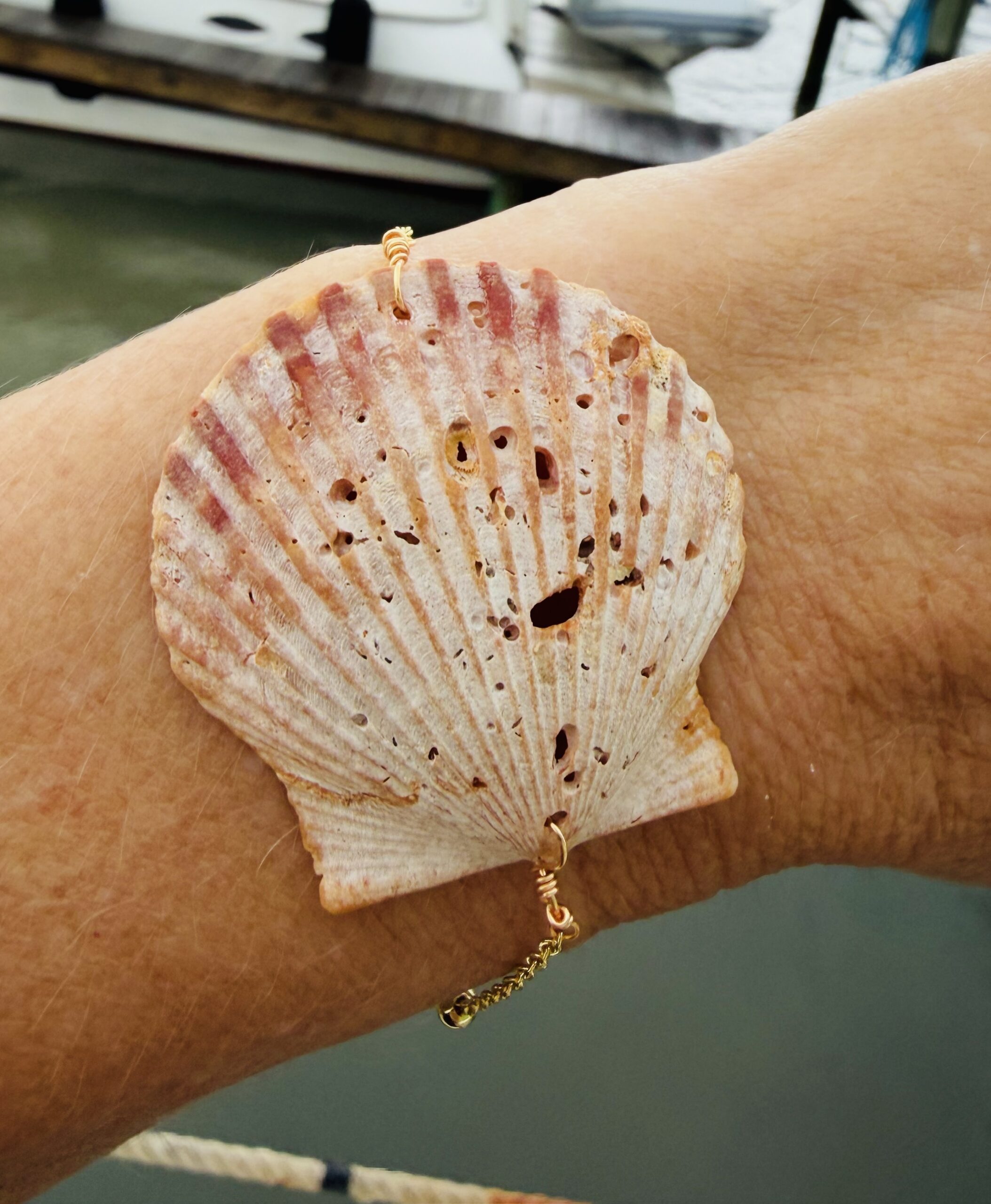 Coastal Tide Scallop Bracelet